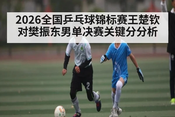 2026全国乒乓球锦标赛王楚钦对樊振东男单决赛关键分分析